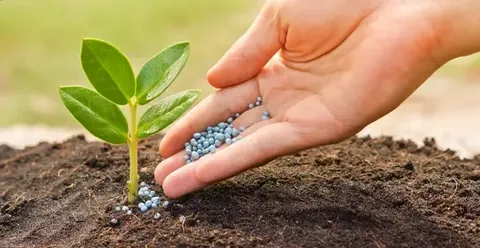 تصویر 5 از قیمت خرید  کودهای نانو ارگانیک گلخانه + فروش ویژه